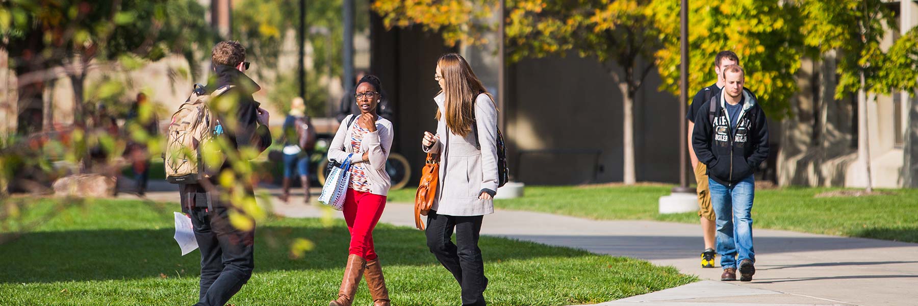 Students walk along a sunny path on the IUPUI campus.