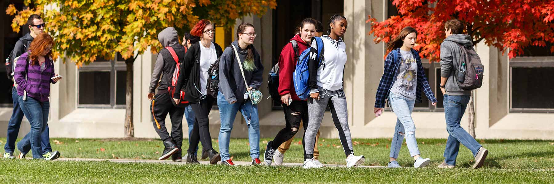 A group of students walks on campus.